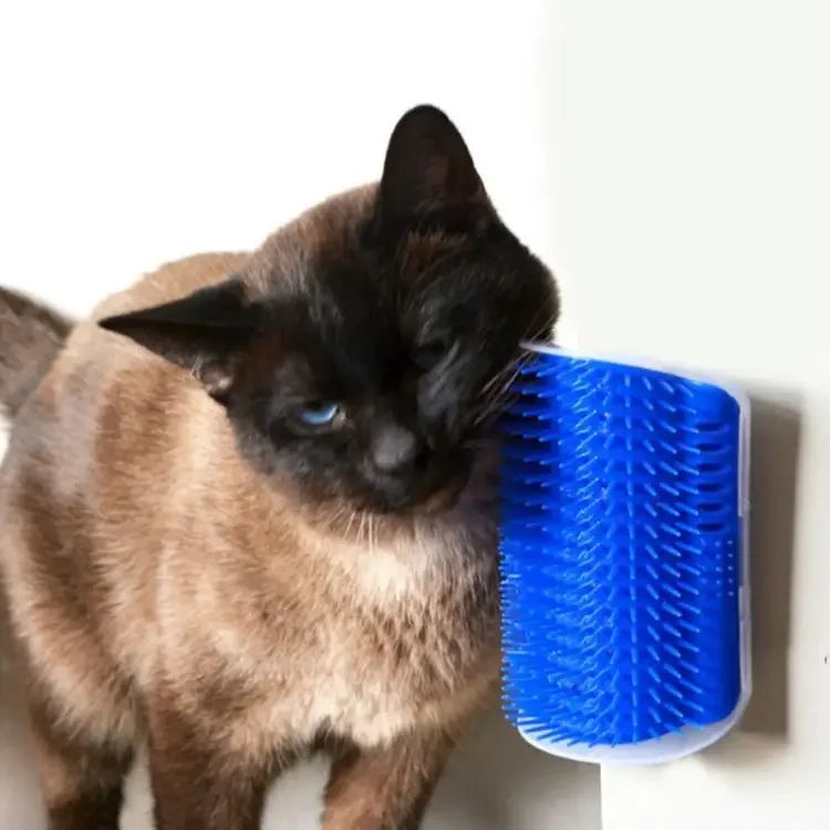 Massage Pet Brush. Corner Scrape & Hair Removal.