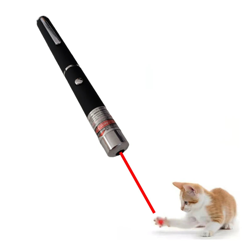 2-in-1 Mini Laser Pointer.